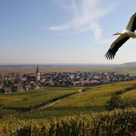 Les Chambres Du Vignoble Ammerschwihr Buitenkant foto